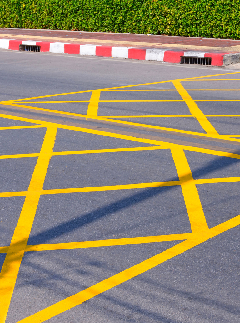 Yellow no-parking zone markings on asphalt road