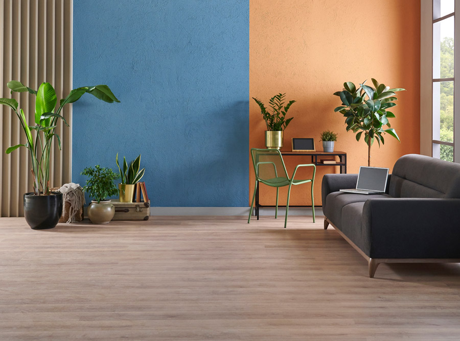 Modern living room with blue and orange accent walls, plants, and minimalist furniture showcasing color consultation results