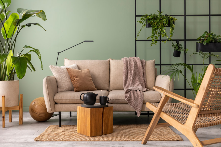 Living room with green eco-friendly painted walls and indoor plants